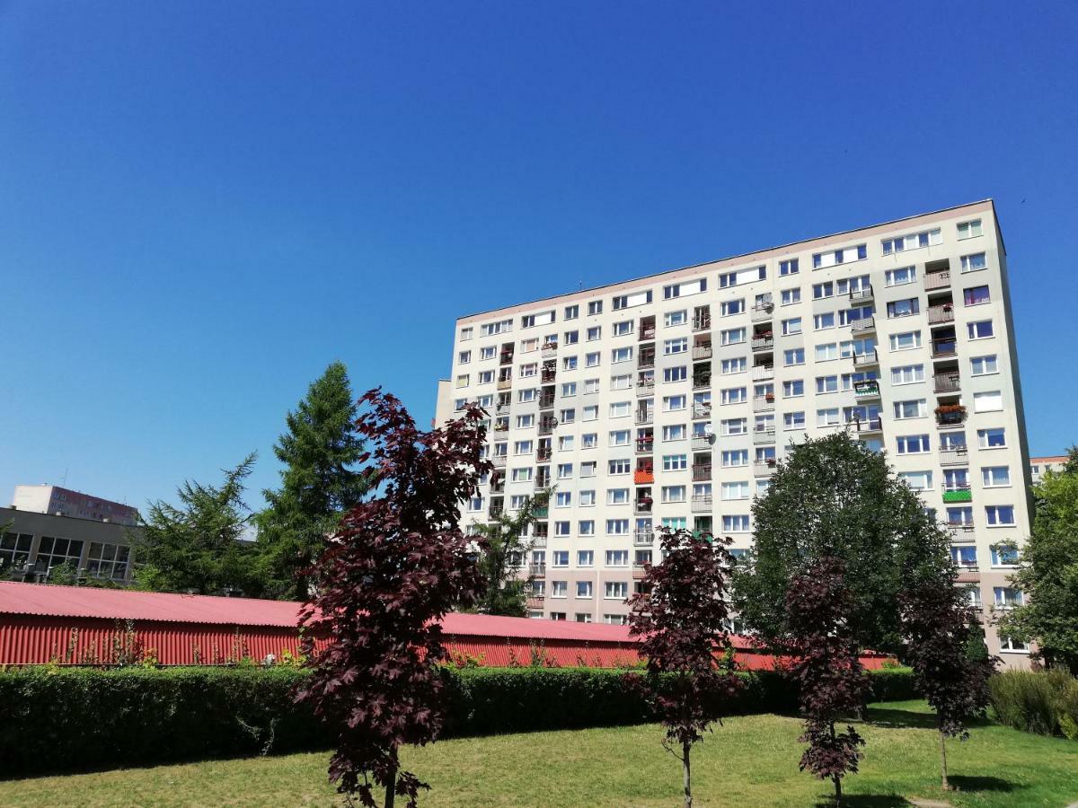 Apartament Familijny 奥尔什丁 外观 照片